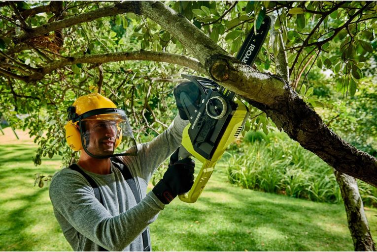 Comment élaguer un arbre en sécurité ?